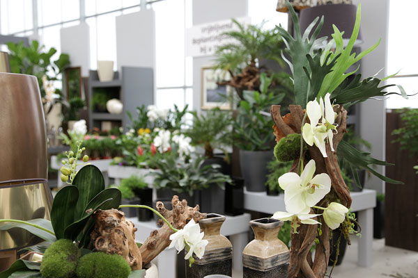 Shop-Huisman-showtuin38